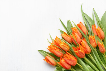Bunch of bright orange tulips on a white background. Mothers Day, Valentines Day, birthday concept