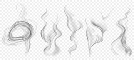 Set of several realistic transparent gray smokes or steam, for use on light background. Transparency only in vector format