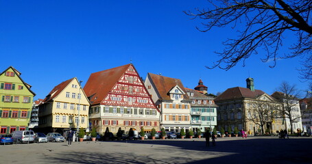 Esslingen Marktplatz mit  schönen Fachwerkhäusern und dekorativem Baum unter blauem Himmel 