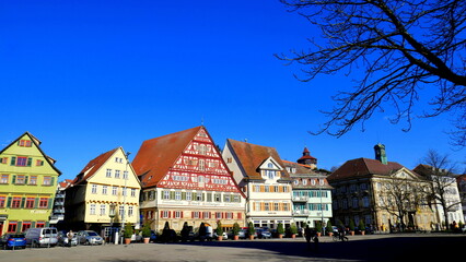 Esslingen Marktplatz mit  schönen Fachwerkhäusern und dekorativem Baum unter blauem Himmel 