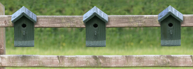 Bird house for a small bird like a Blue Tit on fence