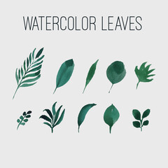 Hand drawn watercolor simple leaves elements natural pattern