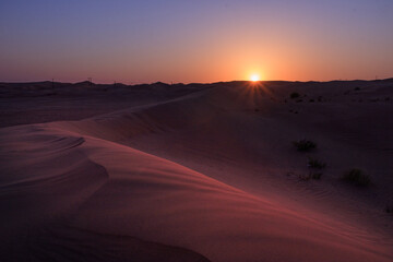 sunrise in the desert