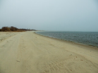 Obraz premium south side beach of fire island on the great south bay on a fogy morning