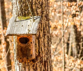 Old birdhouse