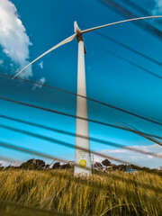 wind turbine in a field of wheat