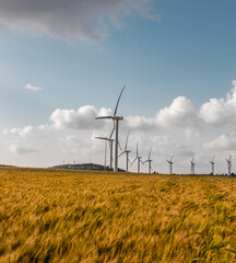 wind turbine in a field of wheat