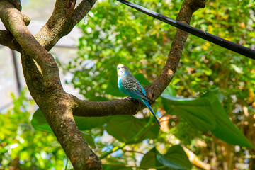 bird on a branch