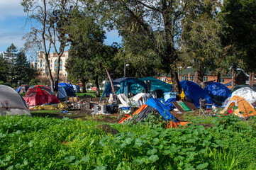 Homeless encampment at Peoples Park, a historic site of political activism - obrazy, fototapety, plakaty