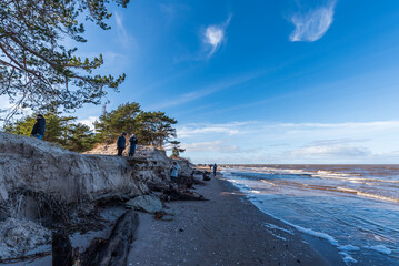 Storm broken trees on the Baltic sea coast, Kolka, Latvia.