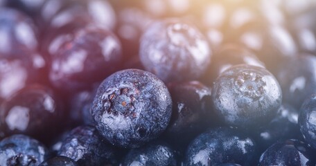 Very Peri color of the year 2022. Blueberries fresh and ripe