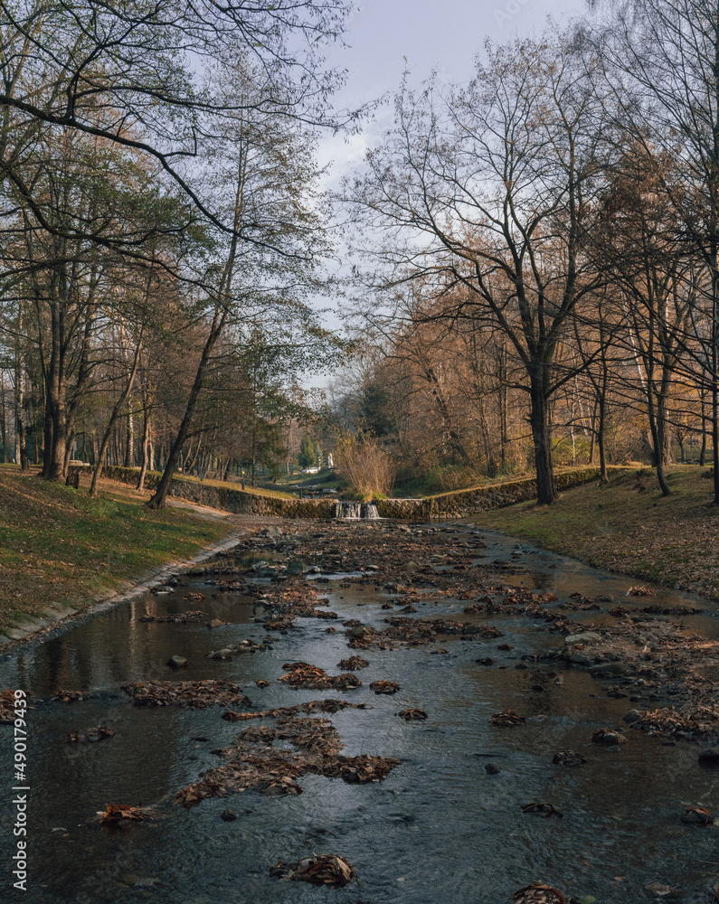 Poster vertical shot of fallen leaves float in a stream with water cascading over rocks in autumn