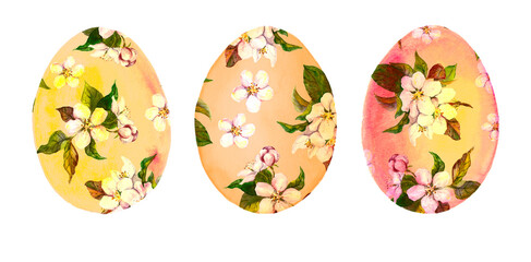 Set of Easter eggs with spring cherry blossom flowers. Floral watercolor