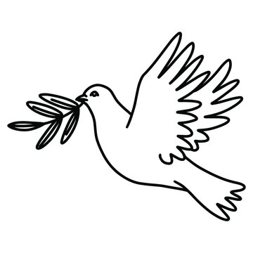 Hand drawn  line art vector illustration of dove with olive branch , symbol of peace.