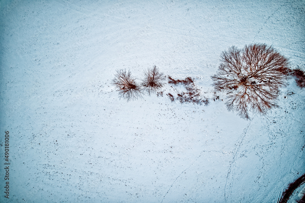 Sticker beautiful overhead shot of trees on snow