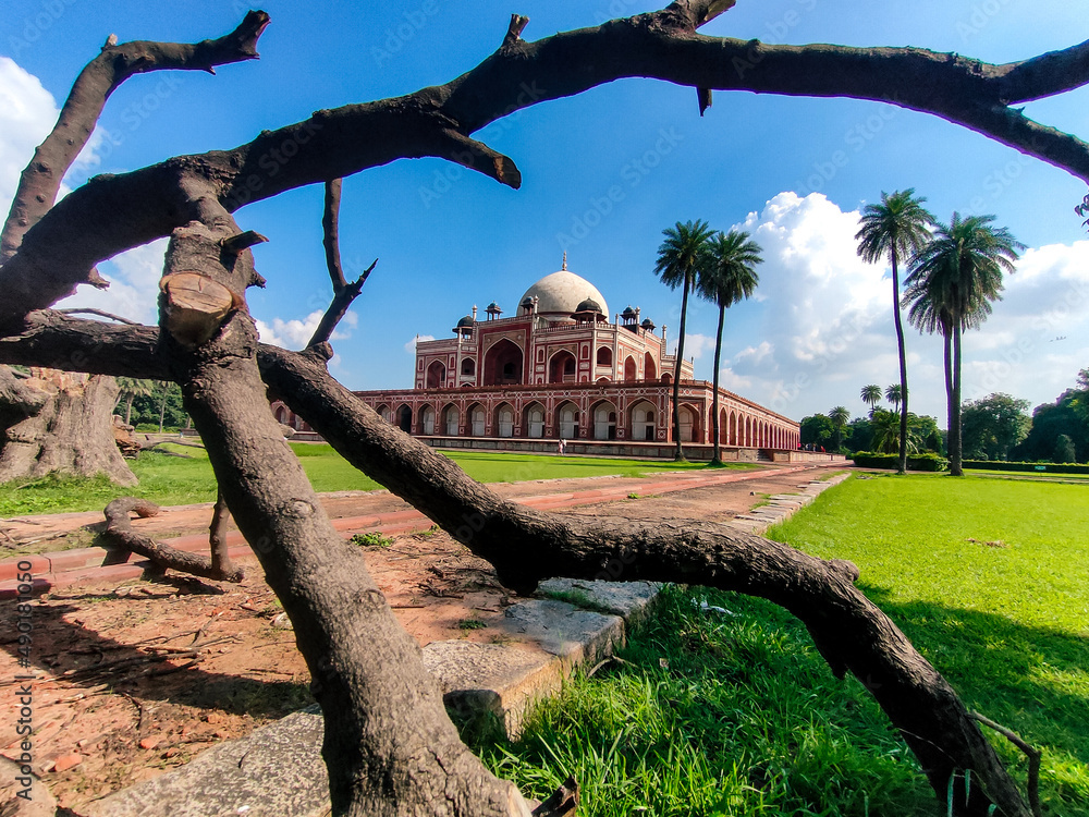 Sticker Beautiful view of Humayun's Tomb in Delhi, India seen through fallen branches