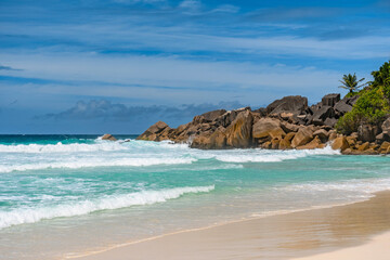 Idyllic tropical beach with sea waves and palm trees on sunny day in summer.