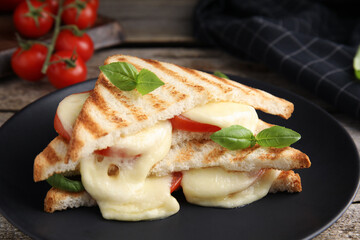 Delicious grilled sandwiches with mozzarella, tomatoes and basil on black plate, closeup