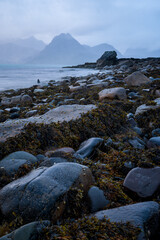 Vertical shot of a rocky coastline with foggy mountains on the background
