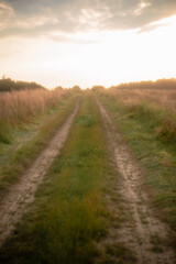 Serene landscape of cultivated fields on a sunny day