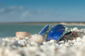 Sunny beach with sunglasses and seashells