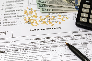 Rice and farm tax form. Farming income, finances and management concept.