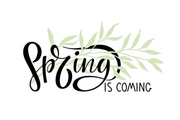 Spring is coming calligraphy lettering with background of spring twig with leaves. Handwritten design, Spring time illustration. For greeting card, invitation of seasonal spring holiday.