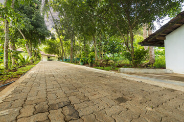 Brick pathway leading to the small house in the park with dense vegetation