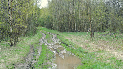 Spring puddles and mud on the road through green fields.