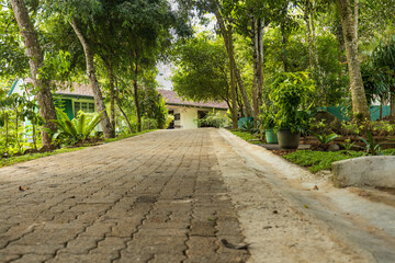 Brick pathway leading to the small house in the park with dense vegetation