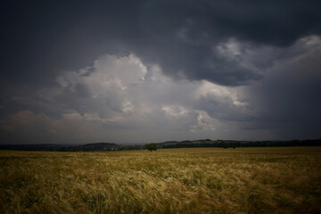 Scenic view of a windy open field under dark cloudy sky