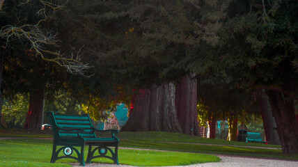 Fototapete bei efototapeten.de bestellen   