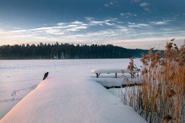 Snow-covered field with tall trees nearby under the clear sky © Konrad2/Wirestock