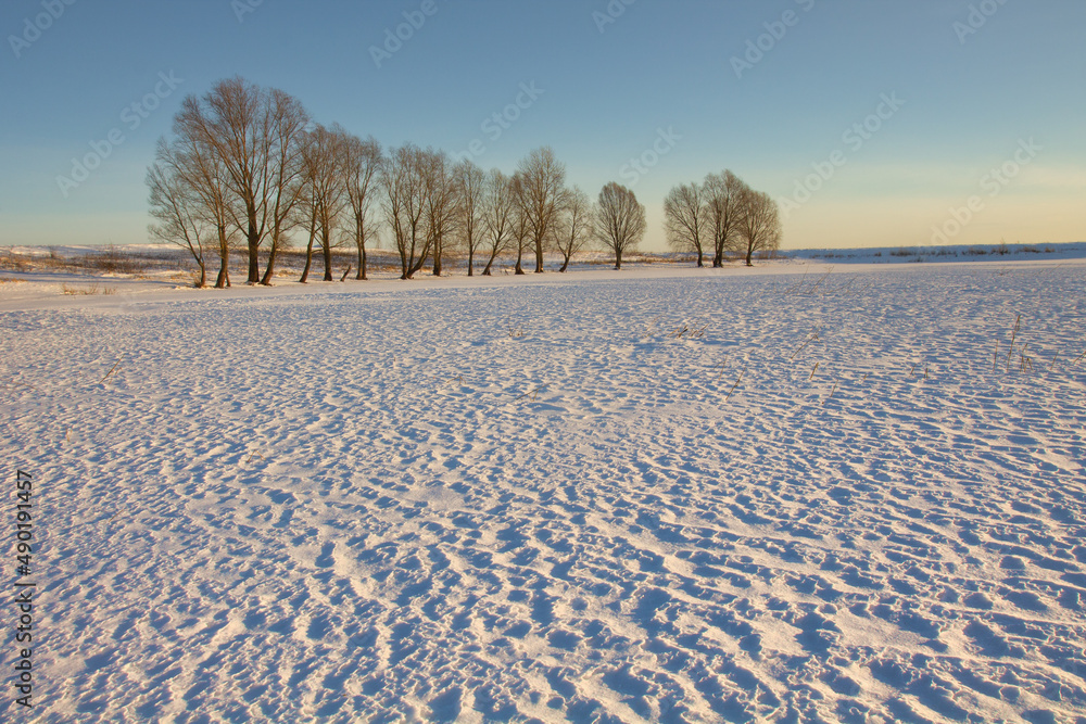 Poster beautiful shot of some trees on a field covered in snow in the background of a sunset.