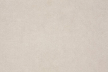 Fototapeta na wymiar Horizontal beige textured card stock close up background.