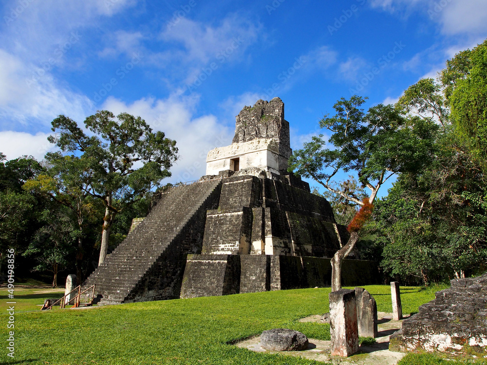 Canvas Prints mayan temple in tikal, guatemala under a blue sky