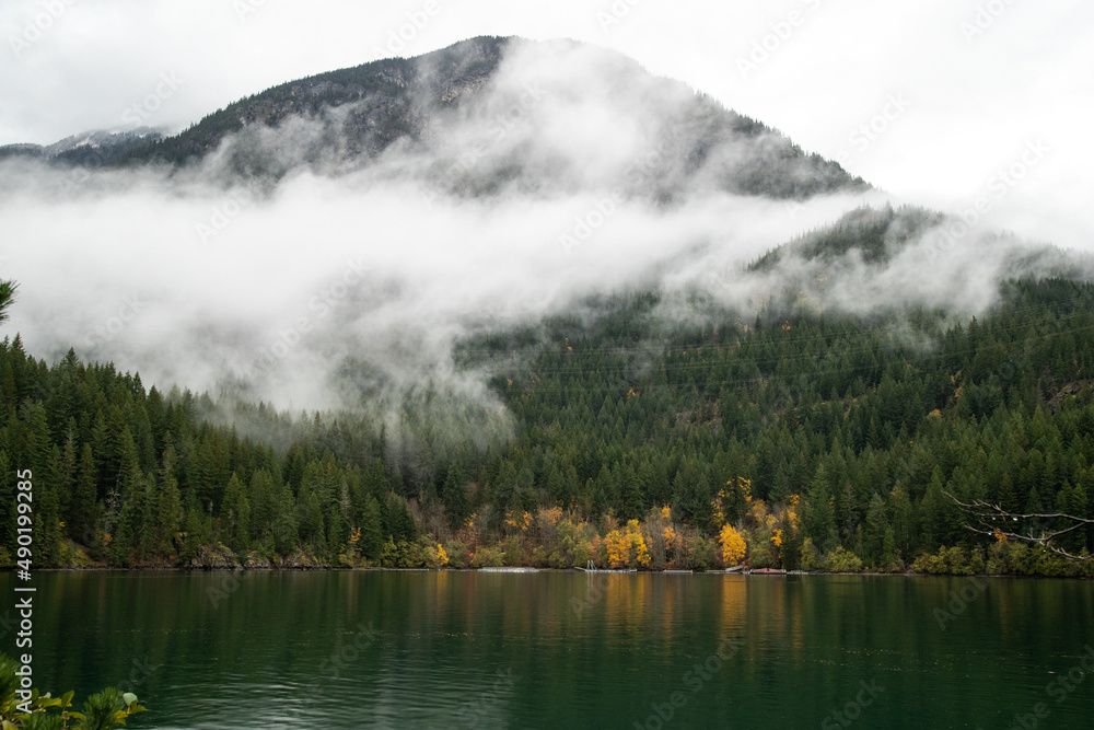 Poster scenic view of a mountain with bushy trees enveloped in fog