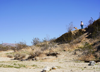 Woman on a hike with dog