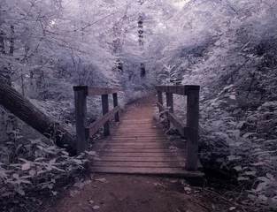Fotobehang Aubergine Houten brug in een bos