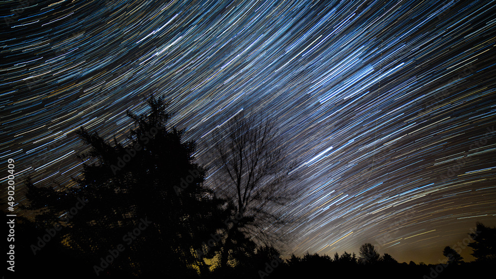 Wall mural star trails above the trees