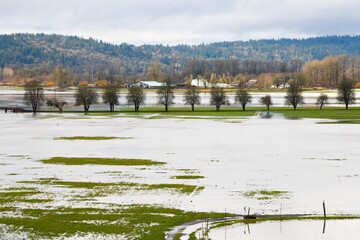 View across flooded farmland in the Snoqualmie Valley in the expanding Seattle suburb of Carnation
