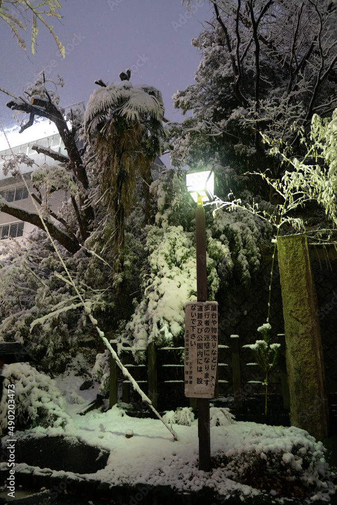 Wall mural Vertical shot of the street lamp among the trees covered with snow in the evening