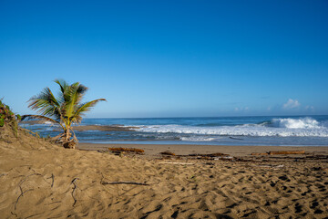 Palms Aguadilla Beach Puerto Rico