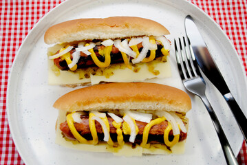 Hot Dogs with Onions, Relish and Mustard on a Plate	