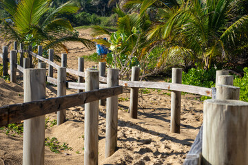 Fence Aguadilla Beach Puerto Rico