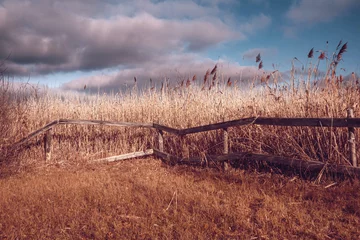 Fototapete Braun Schöne Aussicht auf ein trockenes Feld unter dem blauen Himmel