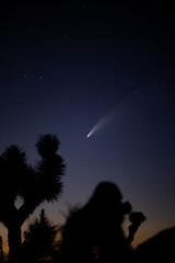 Vertical shot of a starlight night with a gorgeous bright falling meteorite in the middle