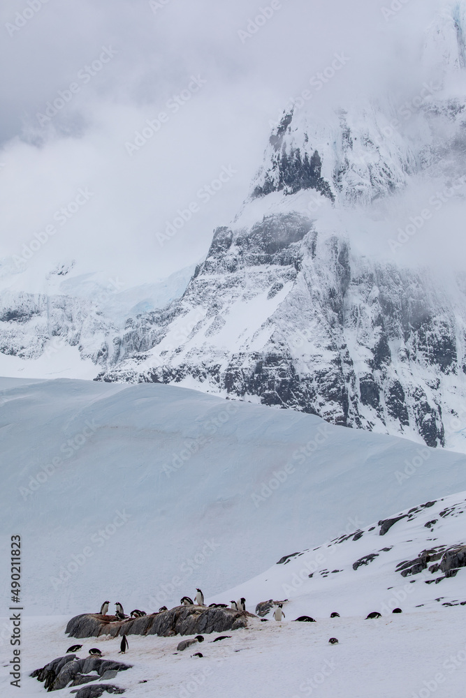 Sticker penguins perched on the stones in antarctica on a cold winter day