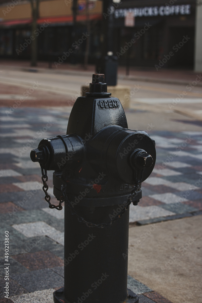 Sticker vertical shot of the fire black hydrant