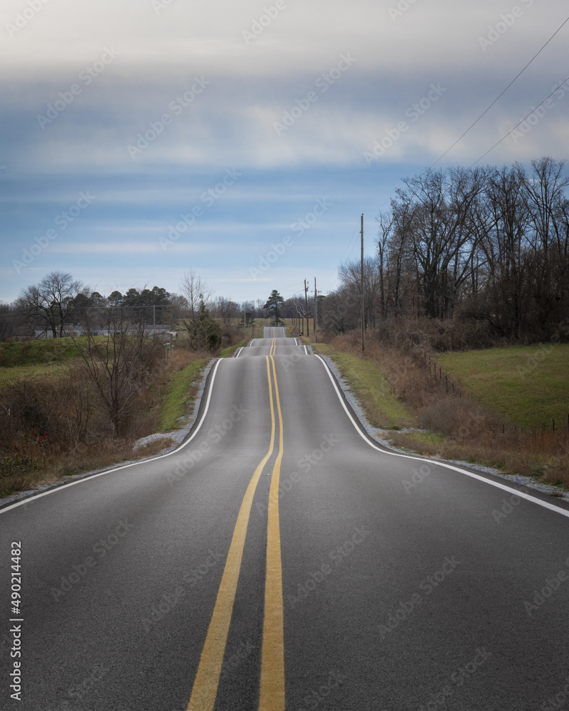 Poster selective focus shot of an empty highway in between landscape fields with dry trees